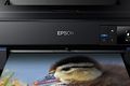 Epson SC-P800 Demonstration