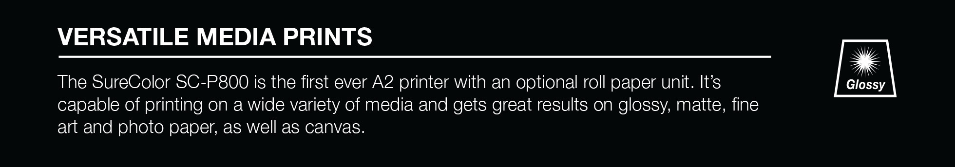 Surecolor Sc P800 Roll Unit Promo Epson