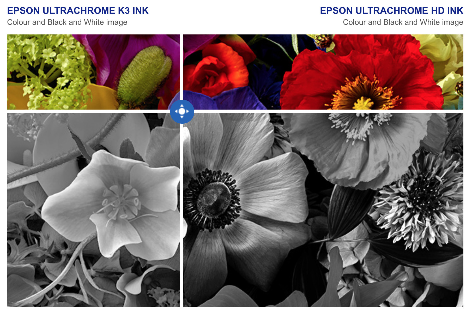 EPSON ULTRACHROME HD COMPARISON