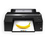 Epson SureColor SC-P5000 STD 240V 17" A2 Large Format Printer (C11CF66001A4): EPSON_SC-P5000 STD_2