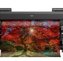 iPF PRO-6000S, front view with print - Canon imagePROGRAF PRO-6000S 60" Photo Printer