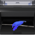 Epson SC-P5300 with Parrot photo print