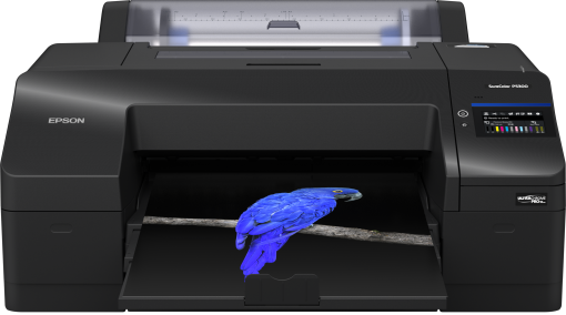 Epson SureColor SC-P5300 17” Photo Printer