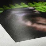 Photo Rag Pearl Close up