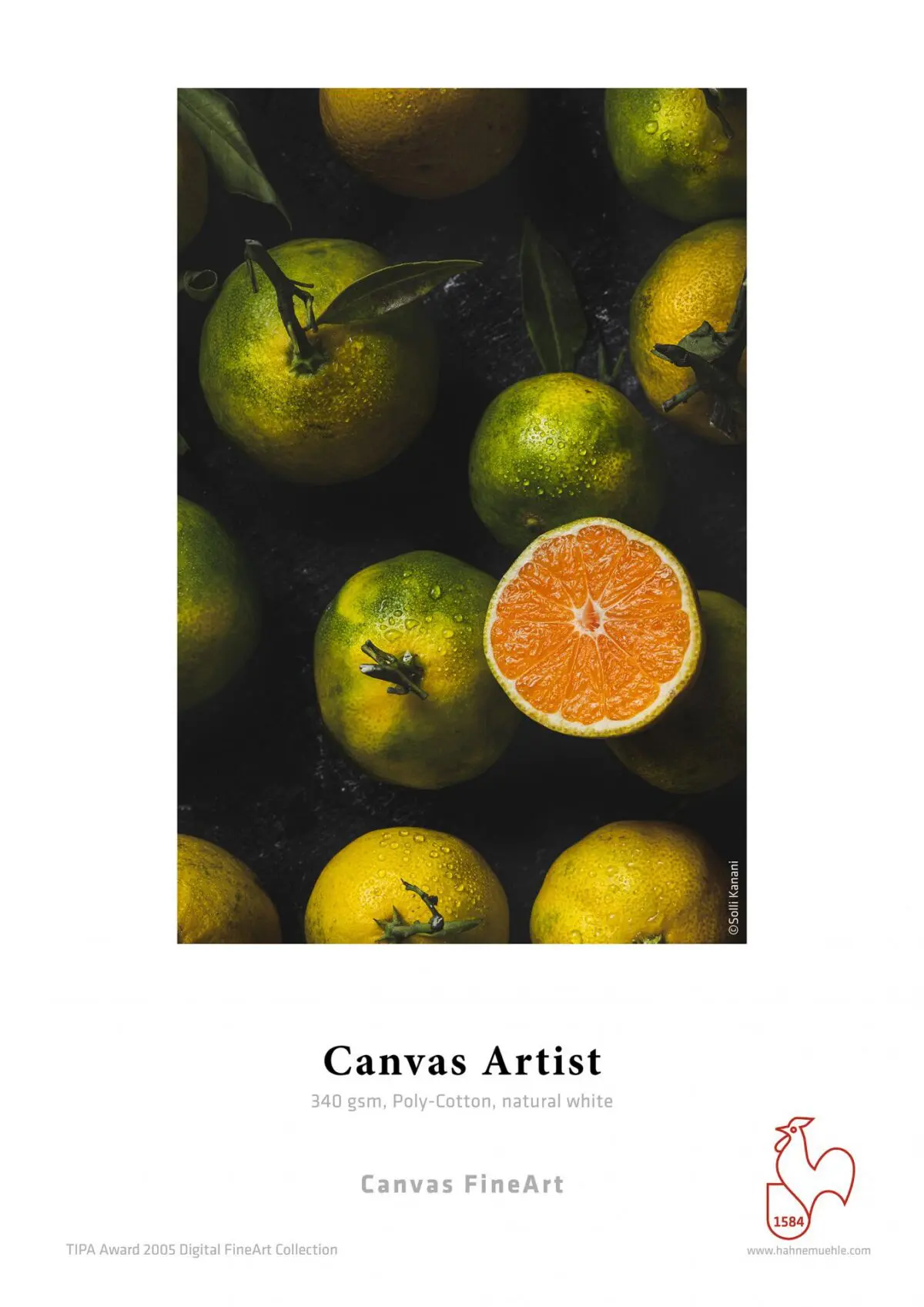 Hahnemuhle Canvas Artist
