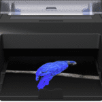 Epson SC-P5300 with Parrot photo print