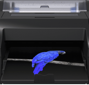 Epson SC-P5300 with Parrot photo print