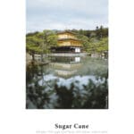 Hahnemühle Sugar Cane hero