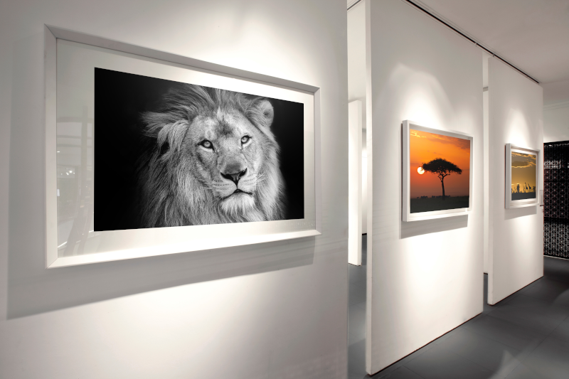 New from HP – HP DesignJet Z6 Plus Edition & Z9+ Plus Edition Large-Format Printers